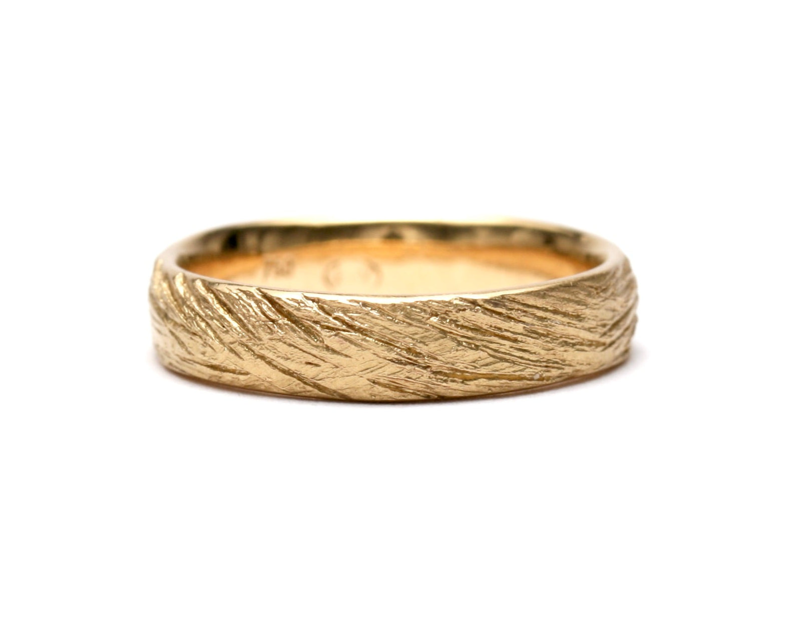 Bushland - in sunshine