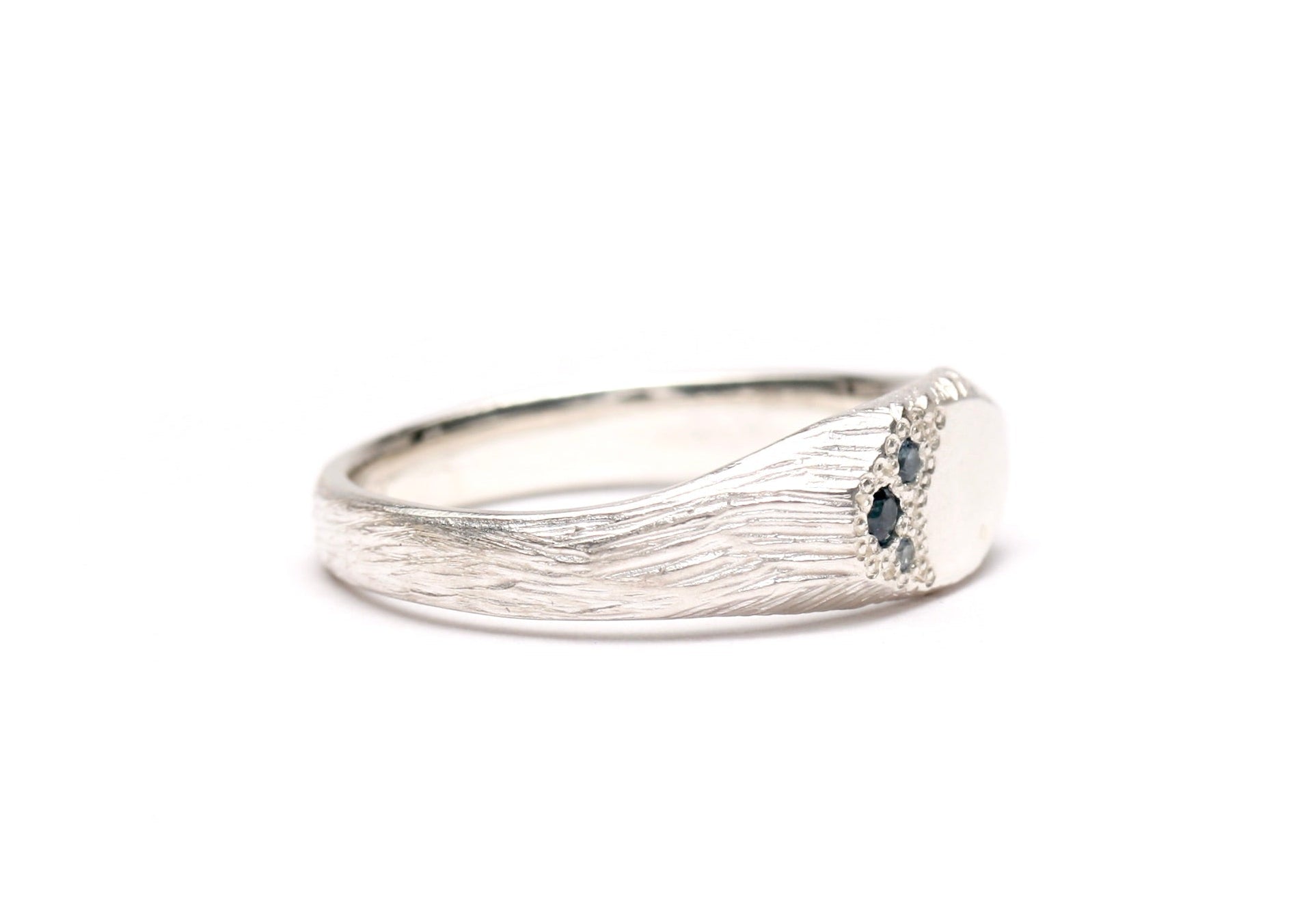 Bushland Signet - Silver - Blue