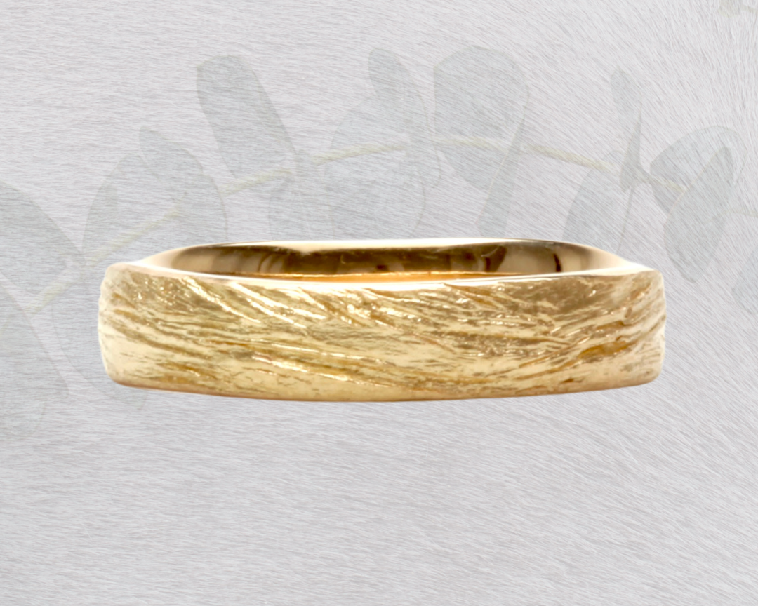 Bushland - in sunshine